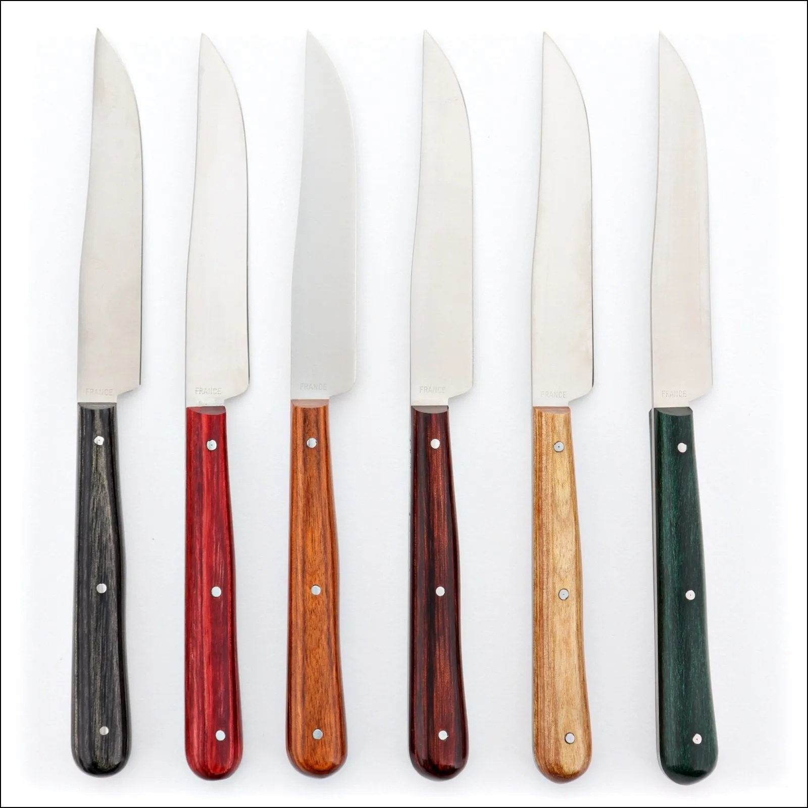 Nontron Table Knives Stamina Wood Set